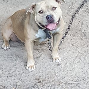 Meet your Posher, Alton remo